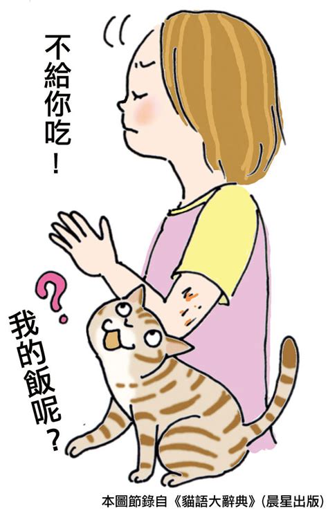 跑貓 意思|別讓貓不信任你！ 飼主常有的8大NG行為